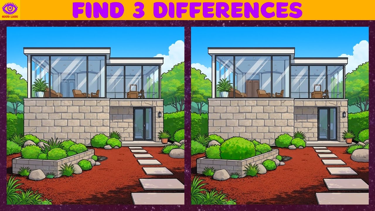 Find the Difference Game GOOD LUCK! 593