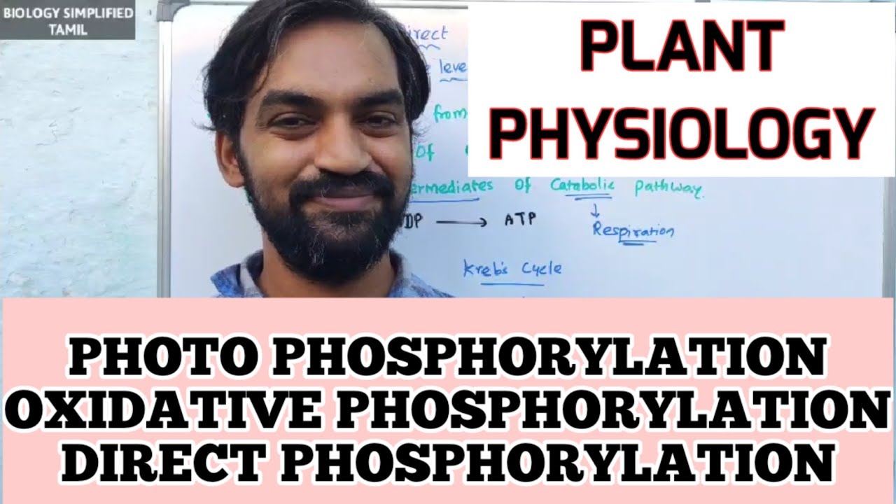 Photophosphorylation | Oxidative Phosphorylation | Direct Phosphorylation