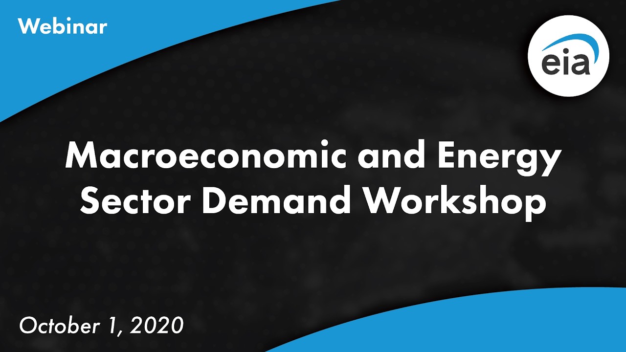 Macroeconomic and Energy Sector Demand Workshop Webinar