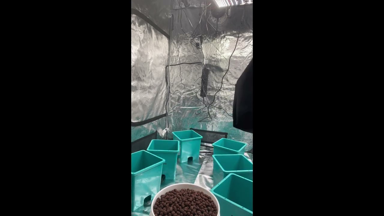 Setting Up GrowAce AirCube Ebb & Flow System | Real-Time Hydroponic Build & First Look @GrowAce