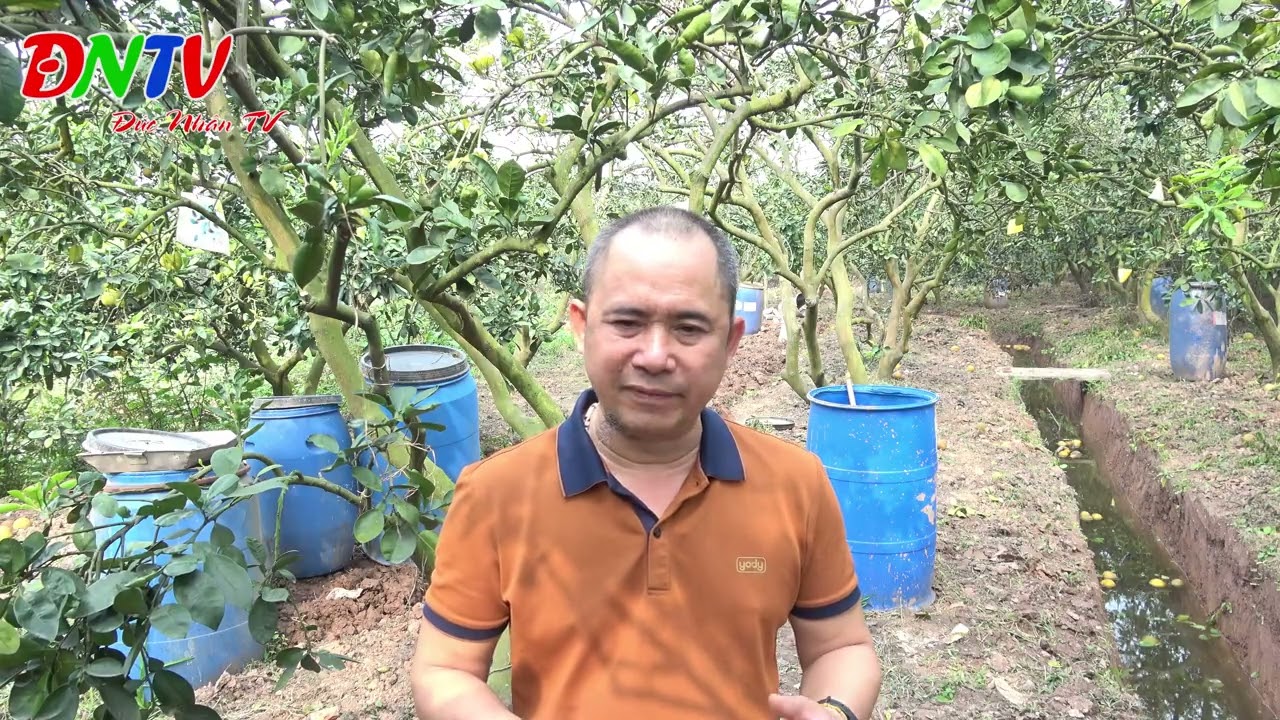 CÓ LÊN PHỐI HỢP MỘT SỐ PHÂN BÓN ĐỂ CÂY ĐƯỢC  ĐỦ DINH DƯỠNG TRƯỚC KHI RA HOA ,  CÂY ĐẬU QUẢ TỐT NHẤT?