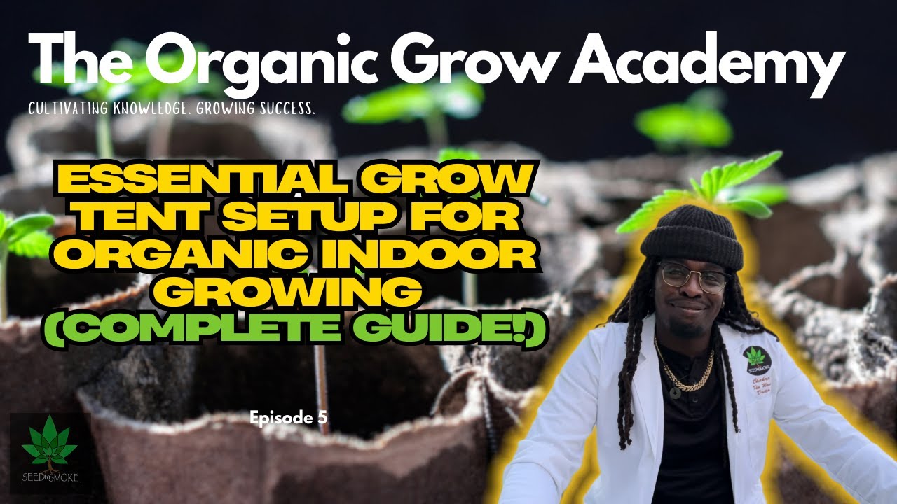 🌱 Essential Grow Tent Setup for Organic Indoor Growing | Step-by-Step Beginner Guide