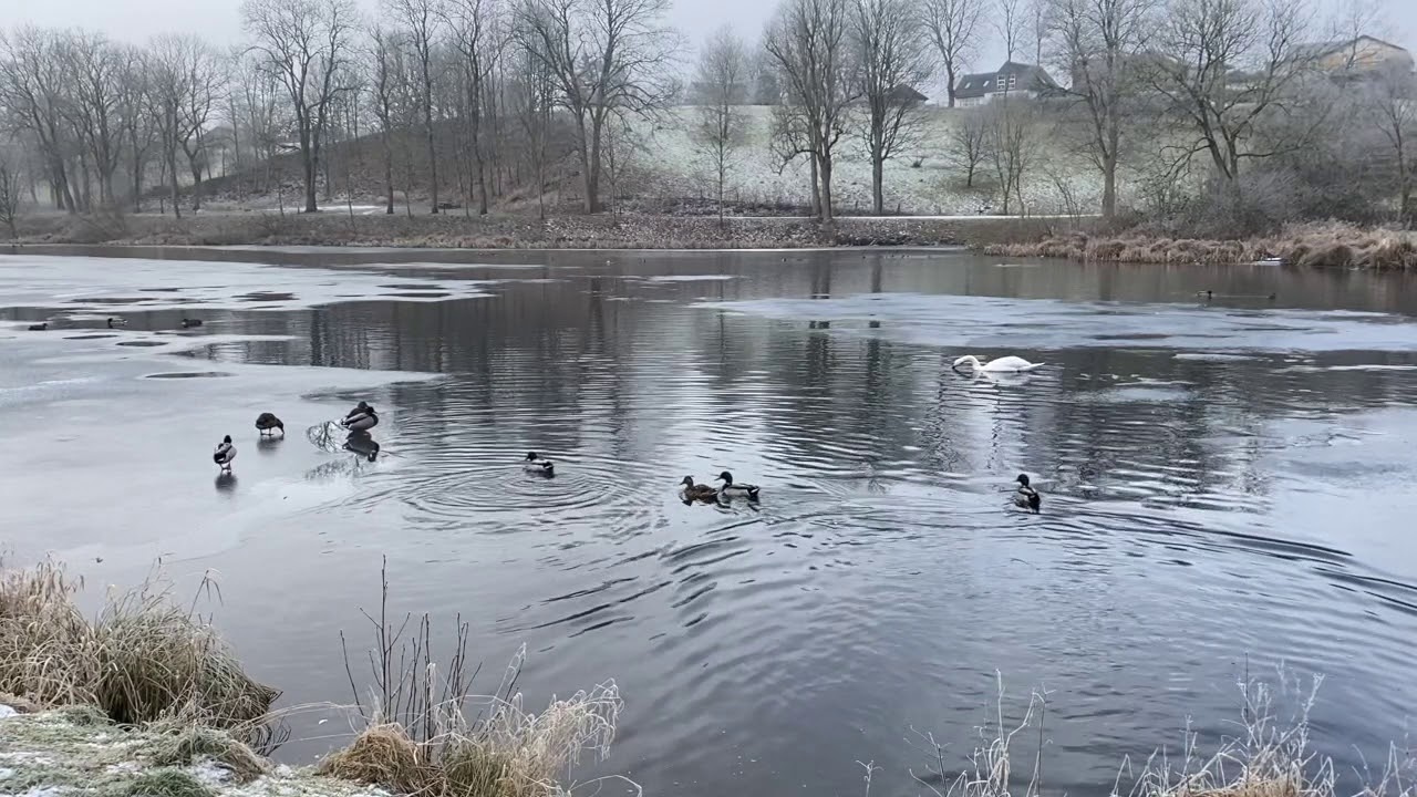 Reklamefilm for Lunderskov