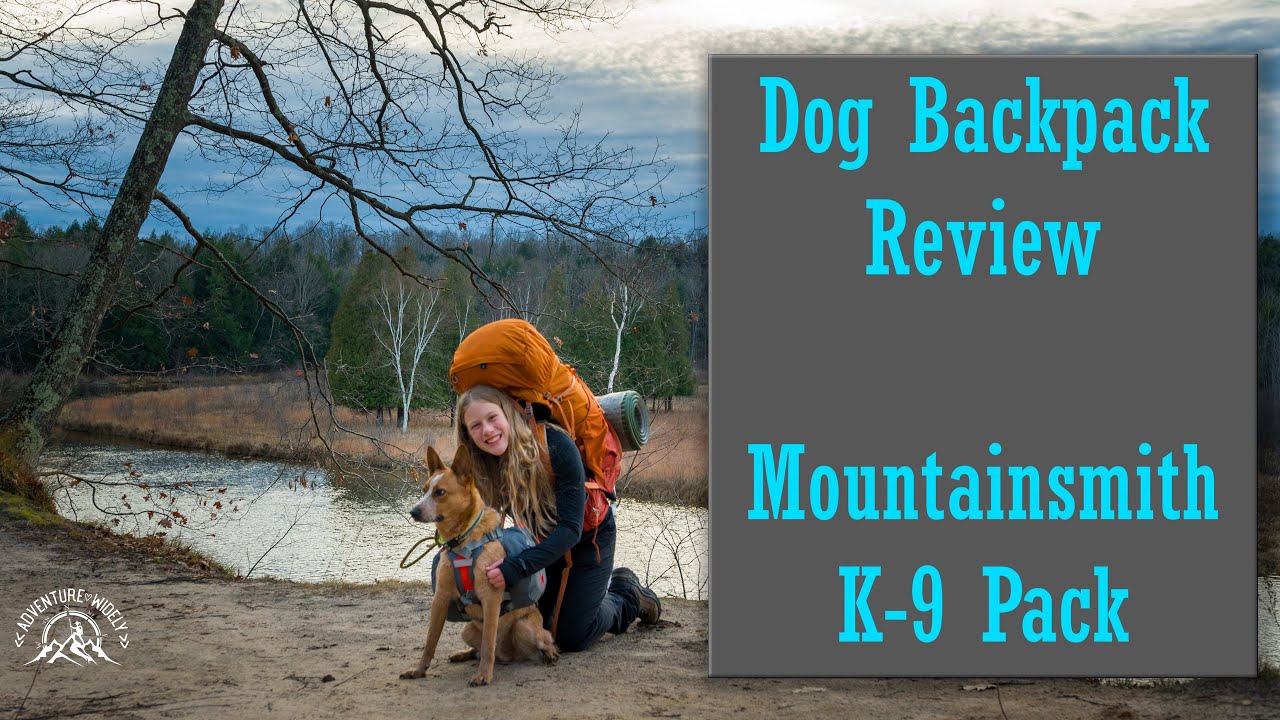 Dog Gear: Mountainsmith K-9 Pack review (and our new adventure buddy!)