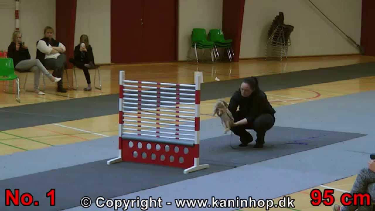 Danish Championships 2014 in Rabbit Hopping - High Jump - TOP 10