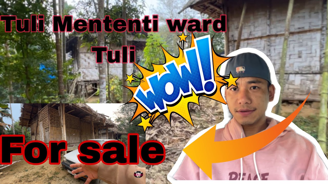 LAND FOR SALE||MENTENTI WARD TULI || UNDER MOKOKCHUNG DISTRICT 🙏