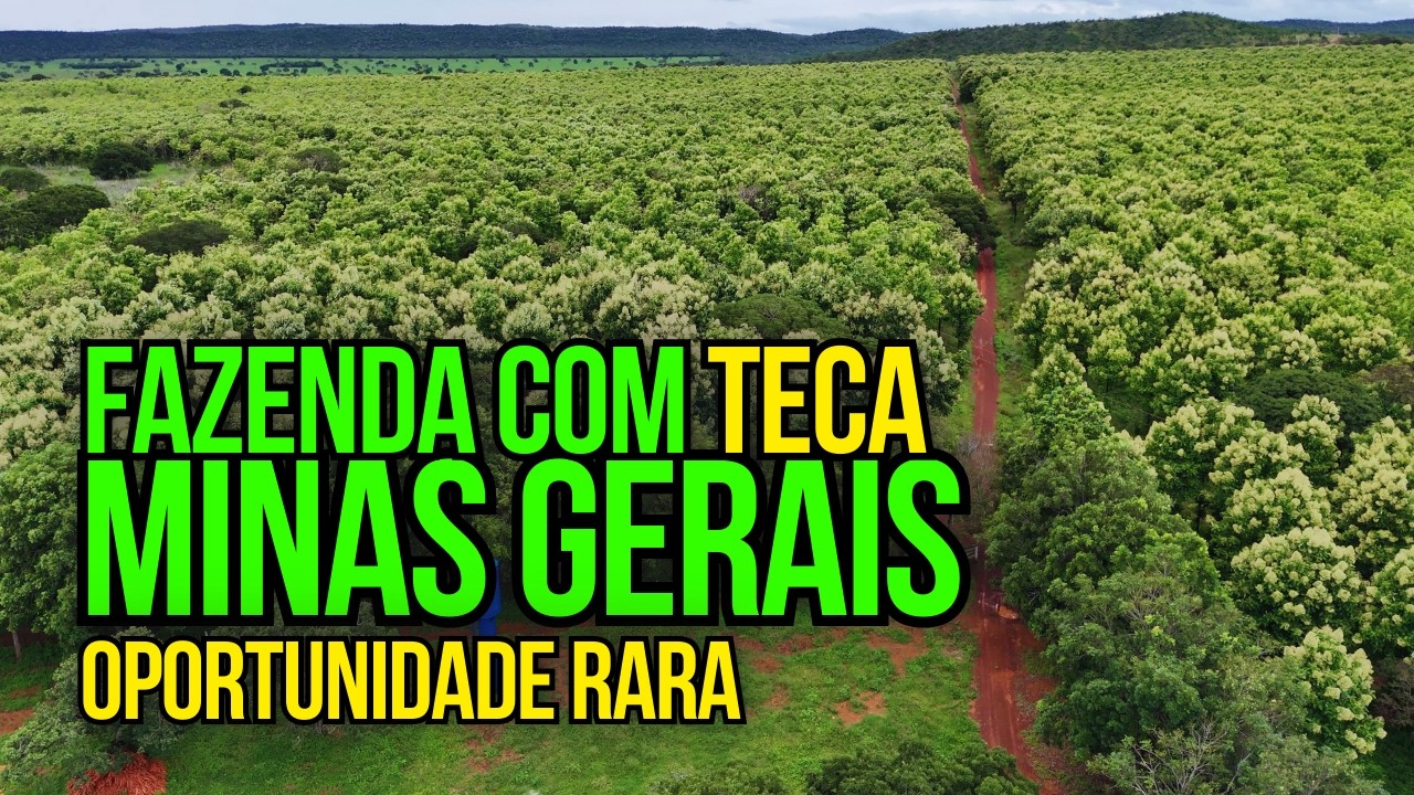 FAZENDA COM 537 HECTARES DE TECA PRONTA PARA CORTE EM UNAÍ/MG
