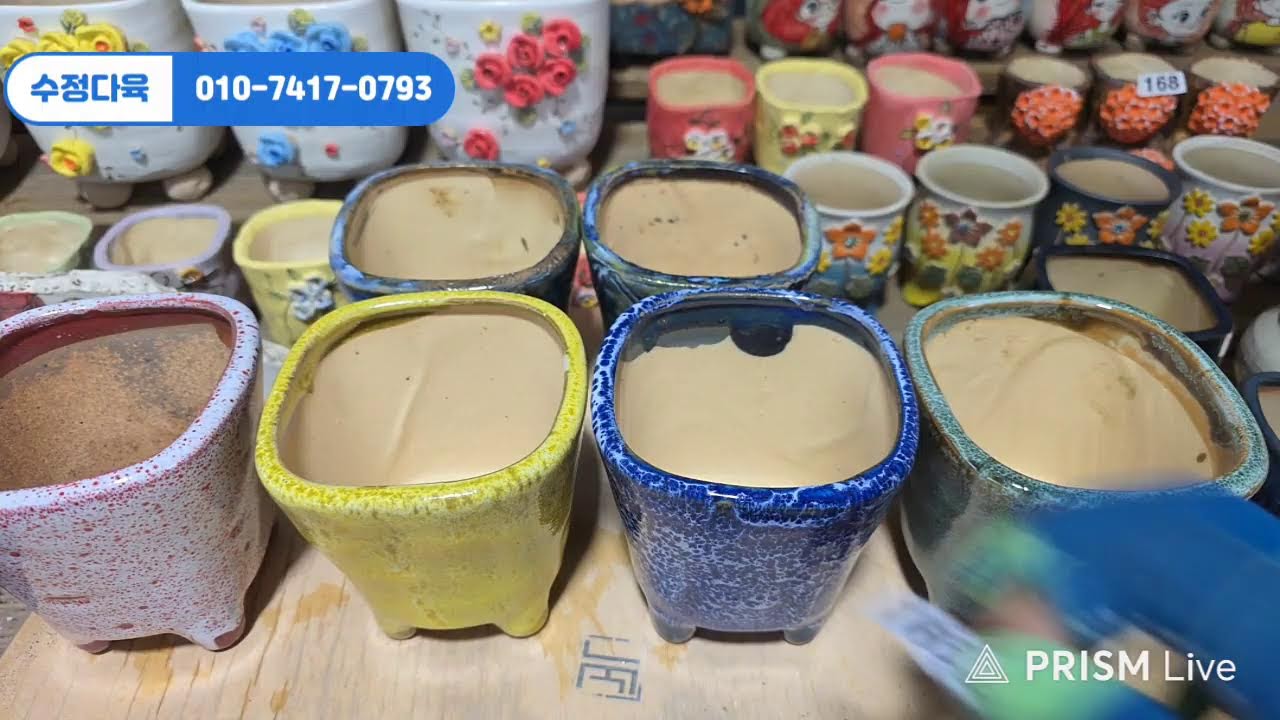 #수정다육 정규라방 화분 50% 할인  3월 7일  010.7417.0793 #다육식물 #화분 #수제화분 #키핑 #에오니옴 #코노피튬 #라울 #다육