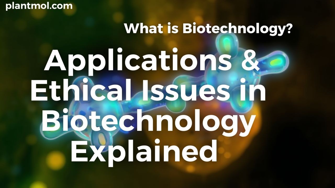 What is Biotechnology? | Applications & Ethical Issues in Biotechnology Explained 🌱🧬