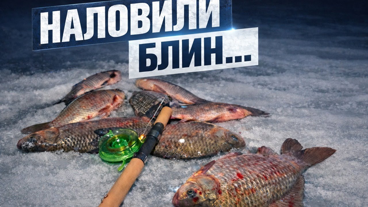 КАРАСЯКИ МОНСТРЫ😱 ВВЕЛИ нас в Заблуждение❗❗❗
