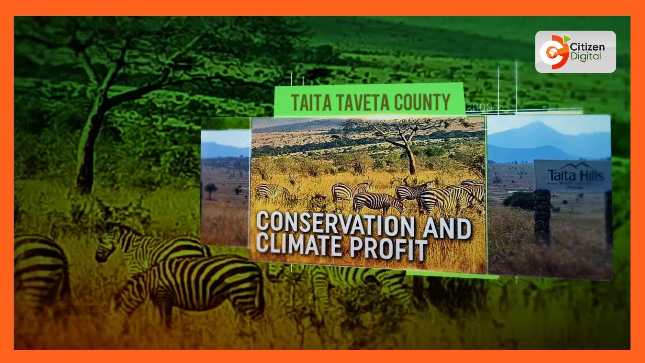| CONSERVATION & CLIMATE PROFIT | Communities in Taita Taveta embrace carbon trading