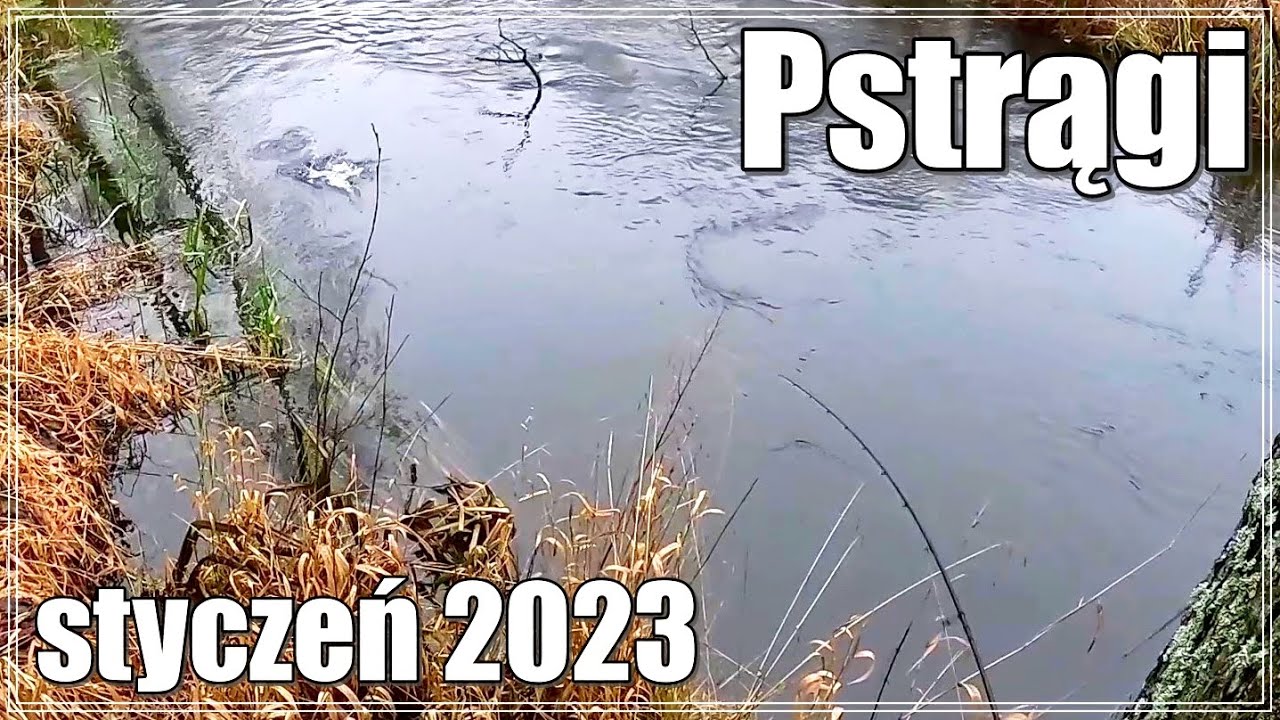 PSTRĄGI 2023 WYGRAŁEM Z NIMI!!! / WPADŁEM w BAGNO | ŁOWIENIE RYB w PIĘKNEJ RZECE