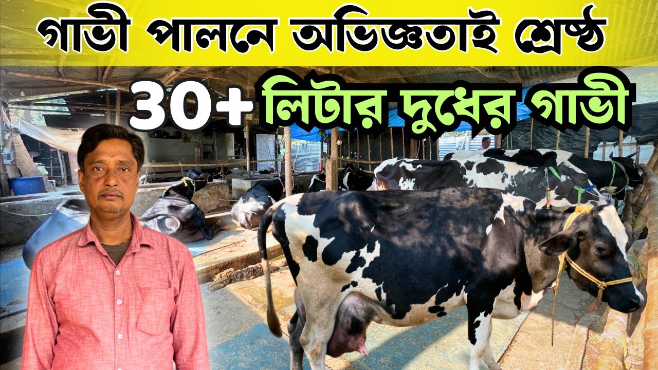 20 বছরের অভিজ্ঞতাই এনে দিয়েছে সফলতা | Successful Dairy Farm Business In West Bengal