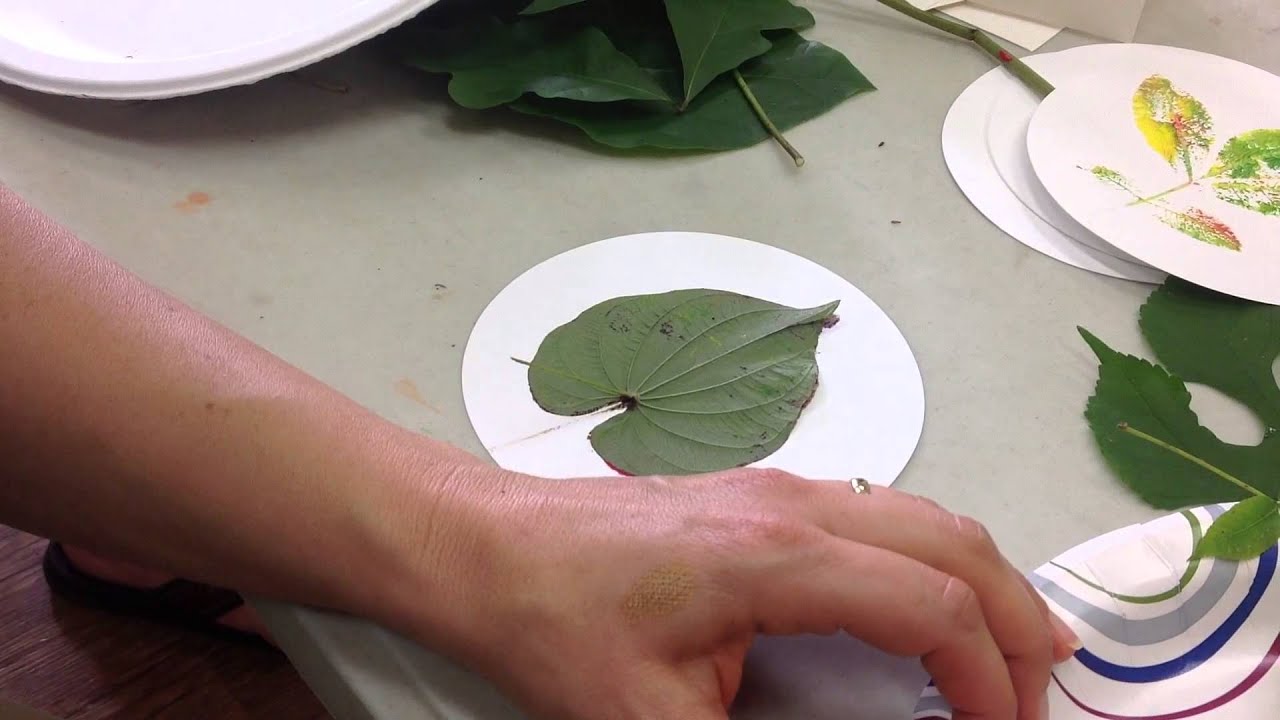 Step by Step Nature Printing