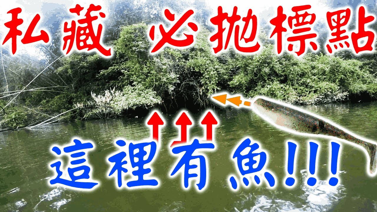 【路亞】鱸魚與標點的距離 - Zman 震尾魚SCENTED PADDLERZ 實戰【路亞擬餌】