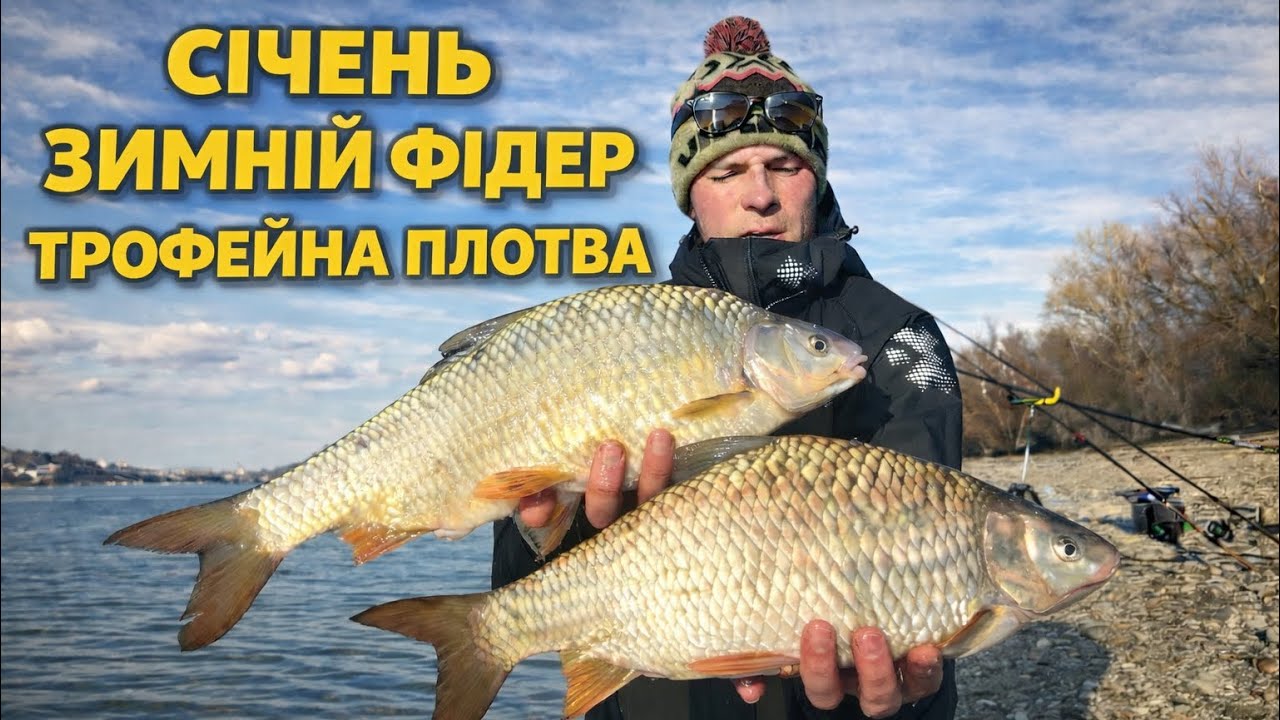 🔥 Божевільний кльов трофейної плотви | Зимовий фідер у січні