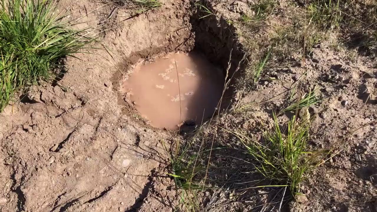 Sealing a pond demonstration - in sand, without a liner