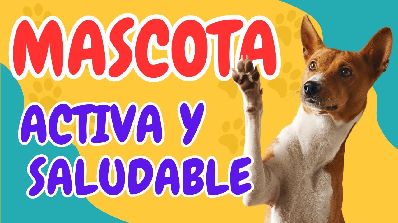 &iexcl;A JUGAR! 🐾 5 Tips para Mantener a Tu Mascota Activa y Saludable