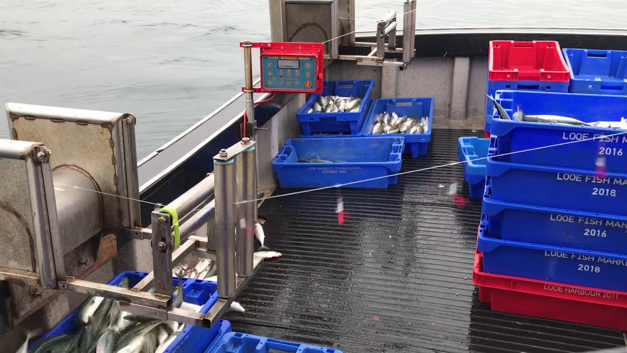 Two Belitronic BJ5000ex jiggers fishing for Mackerel. Cornwall 2018.