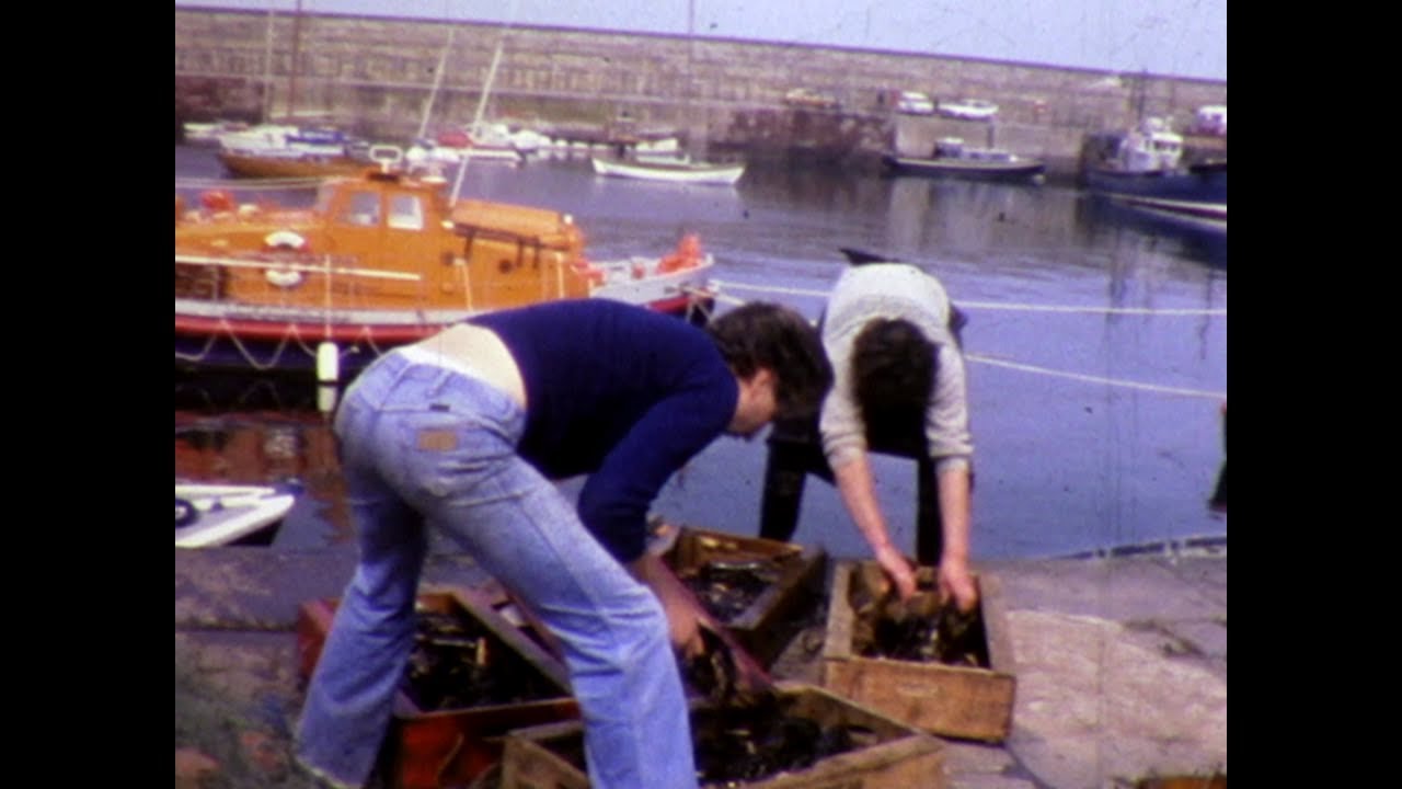 Dunbar 1978