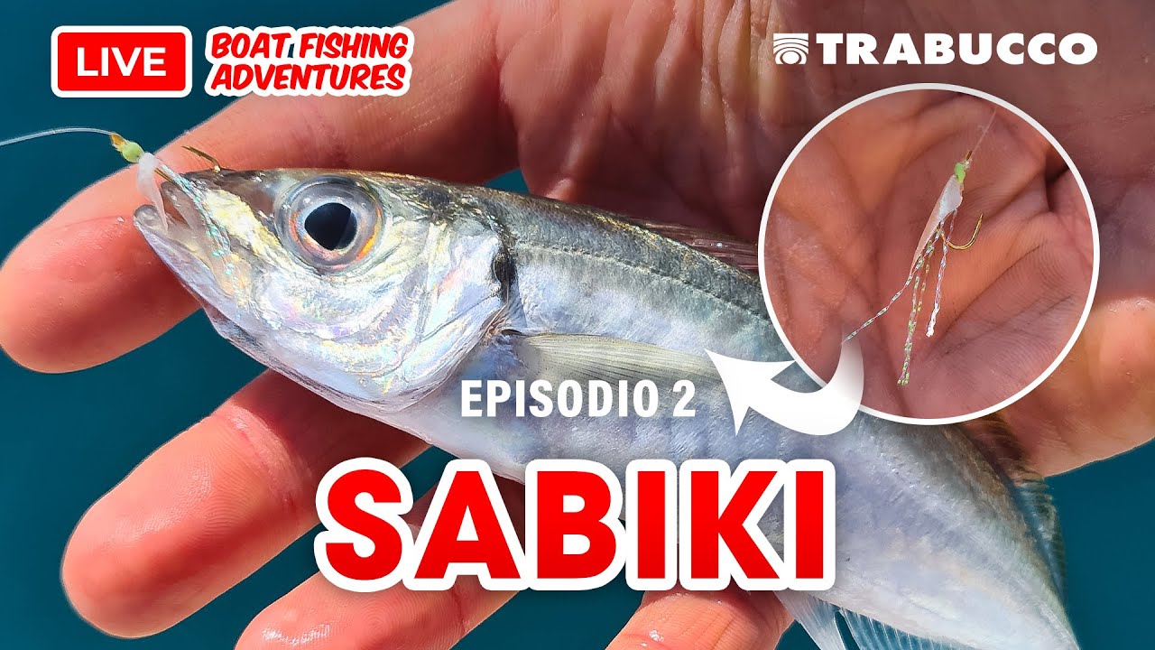 SABIKI: COME procurarsi FACILMENTE esche per la PESCA con il VIVO &raquo; 🔴 LBFA S1E2 @trabuccofishing​