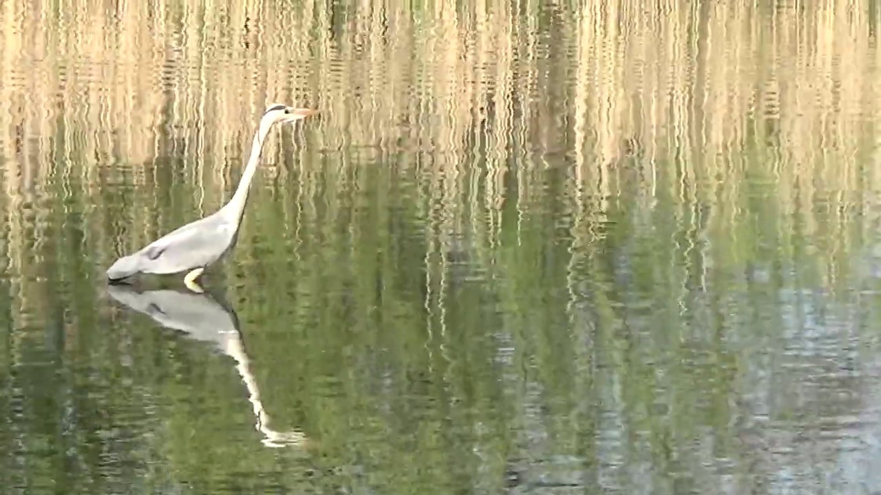 Unterwegs im Bielefelder Naturschutzgebiet 