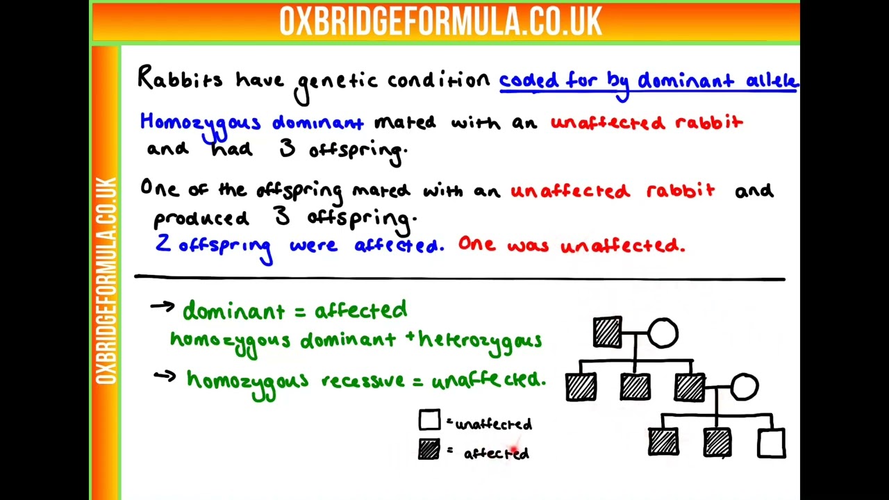 BMAT 2020 Sec2 Q09 (Bio) - Rabbit Alleles.mov