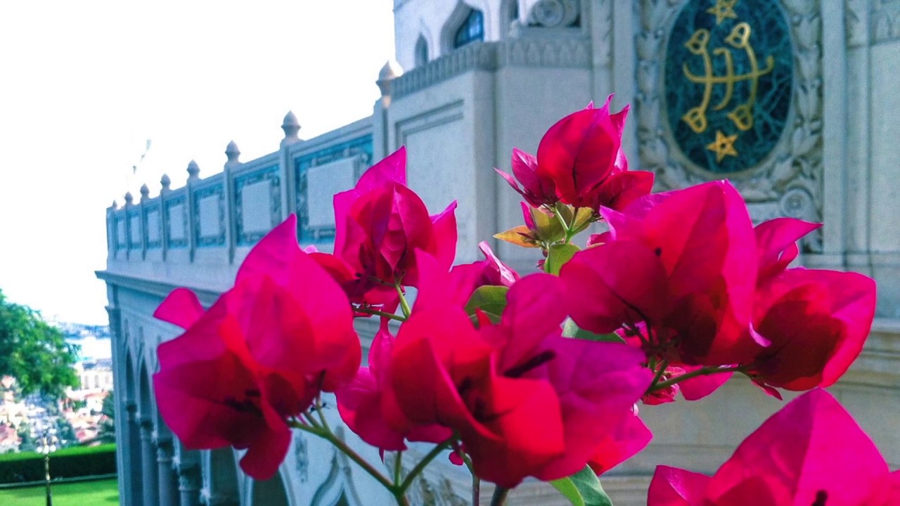 Baha'i Prayer, The Remover of Difficulties, (performed by Shadi & Shidan Toloui-Wallace)