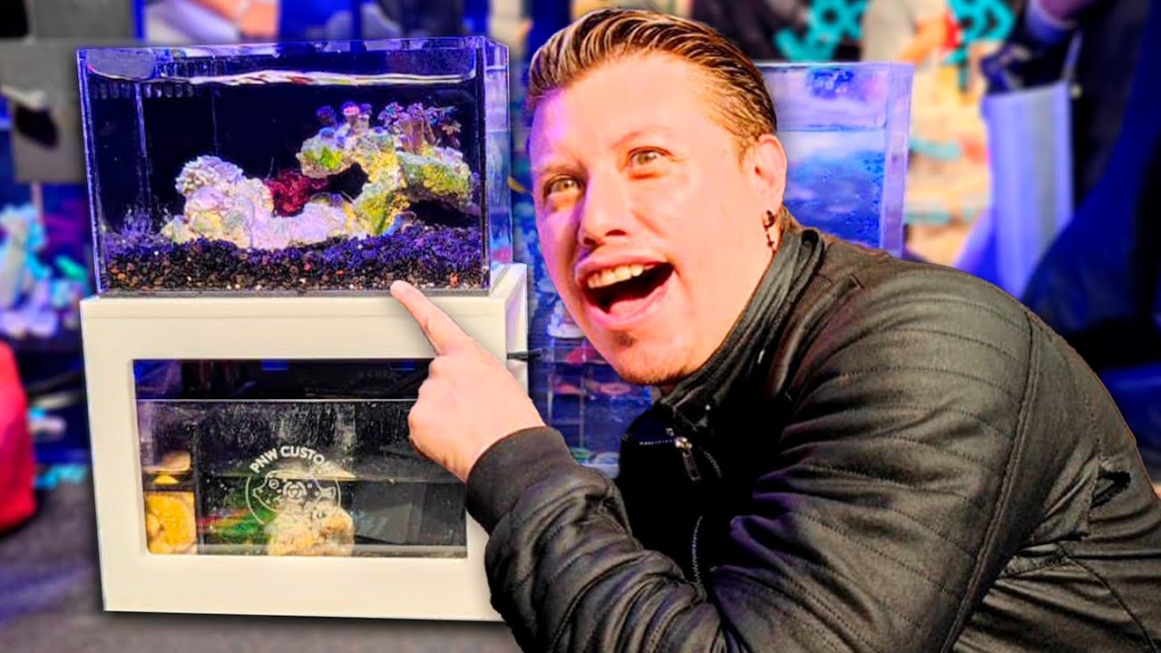 El Acuario MARINO mas pequeño del Mundo expo Adictos al Arrecife - MarioBLOGS