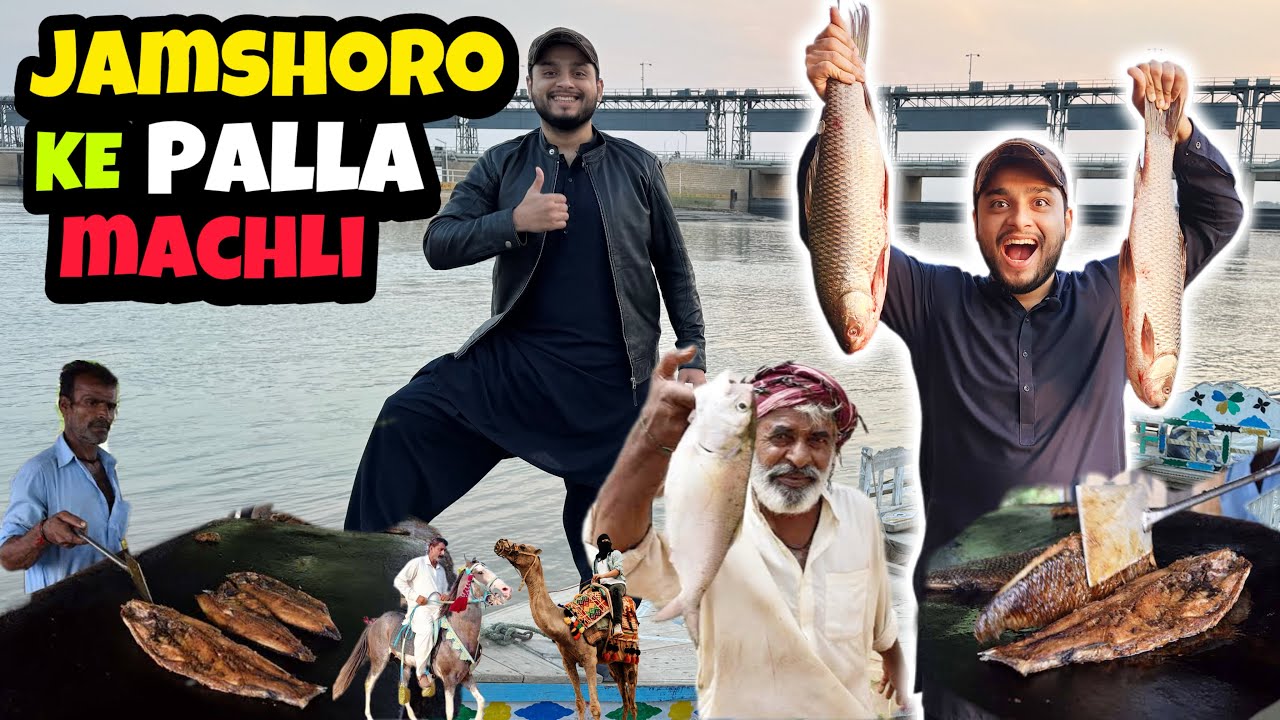 Jamshoro Famous Palla Machli🐟 Al-Manzar Restaurant😍| Sadabahar Restaurant Highway🤤|Asa na socha tha😭