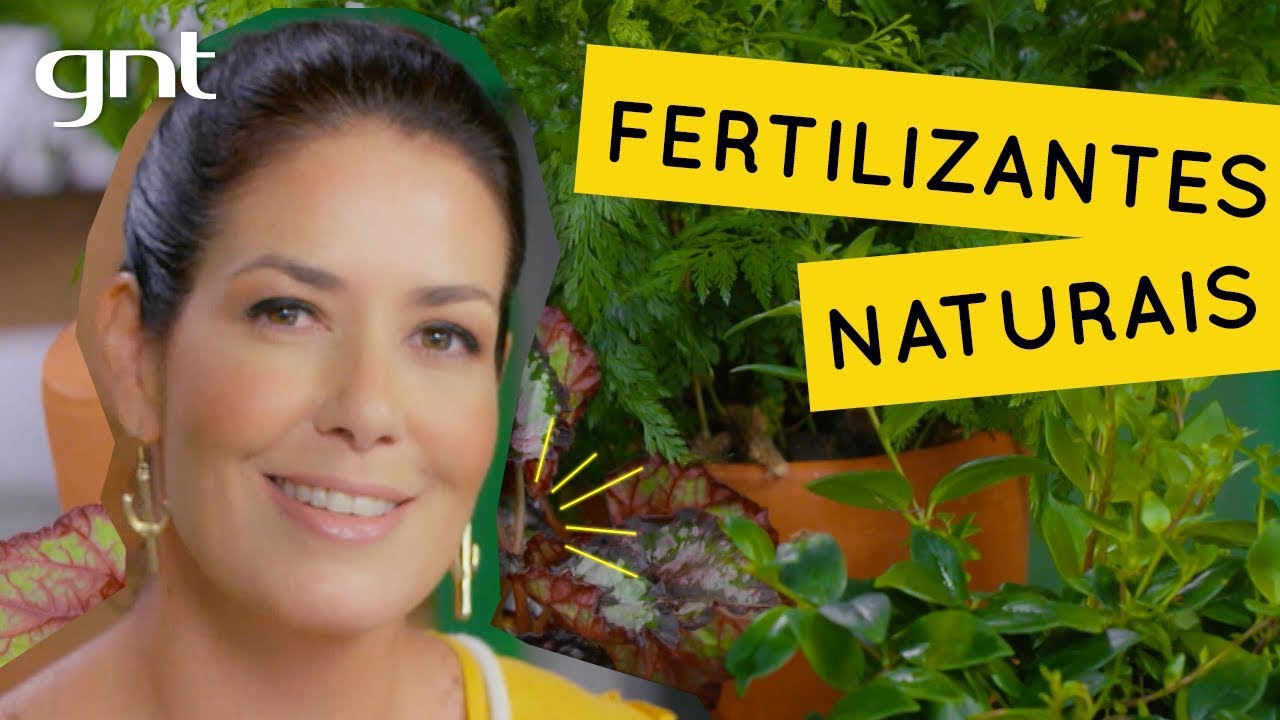 Como fazer biopesticidas e biofertilizantes para as plantas | Jardinagem | Gabi Pileggi