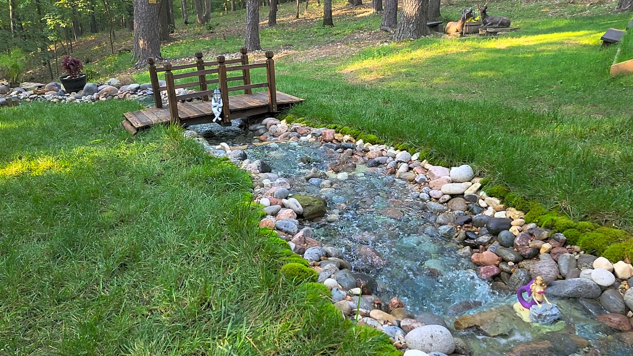 Backyard Creek