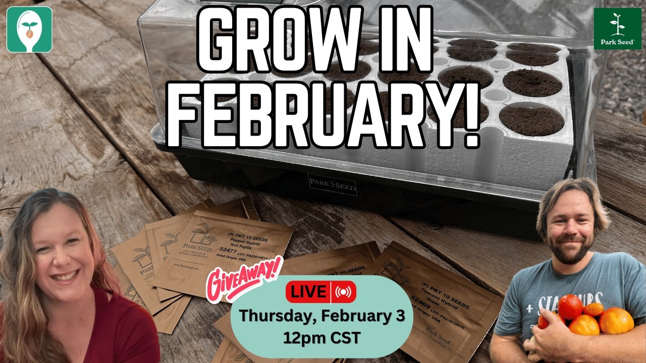 February in the Garden: What to Plant, Start & Prep Now!