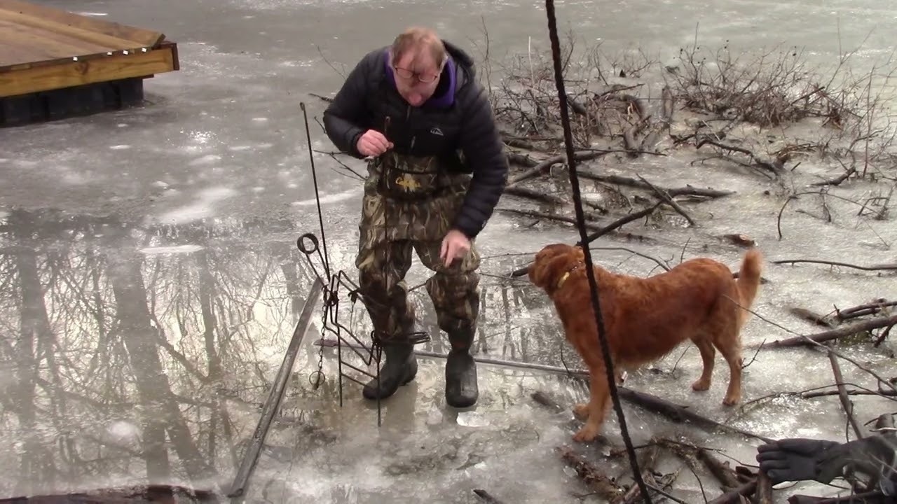 Nuisance beaver trappers shut out in 2024