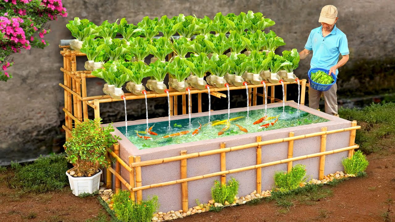 Why all housewives like this 2in1 aquarium idea?