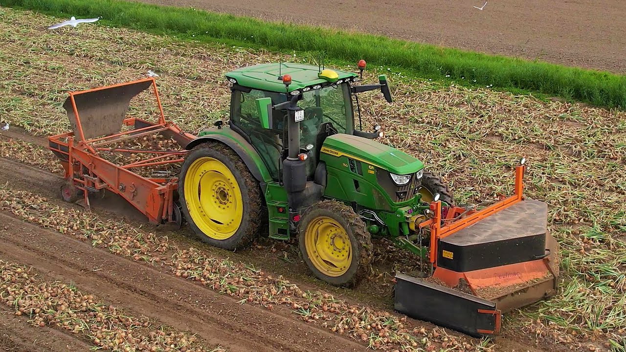 Uien rooien | Harvesting onions | John Deere | Keulmac | Zwiebeln roden | Oogstseizoen 2024