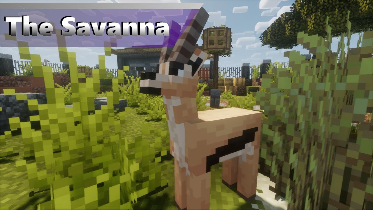 The Savanna | ALex's Mobs Zoo (Minecraft 1.16.5 Zoo)