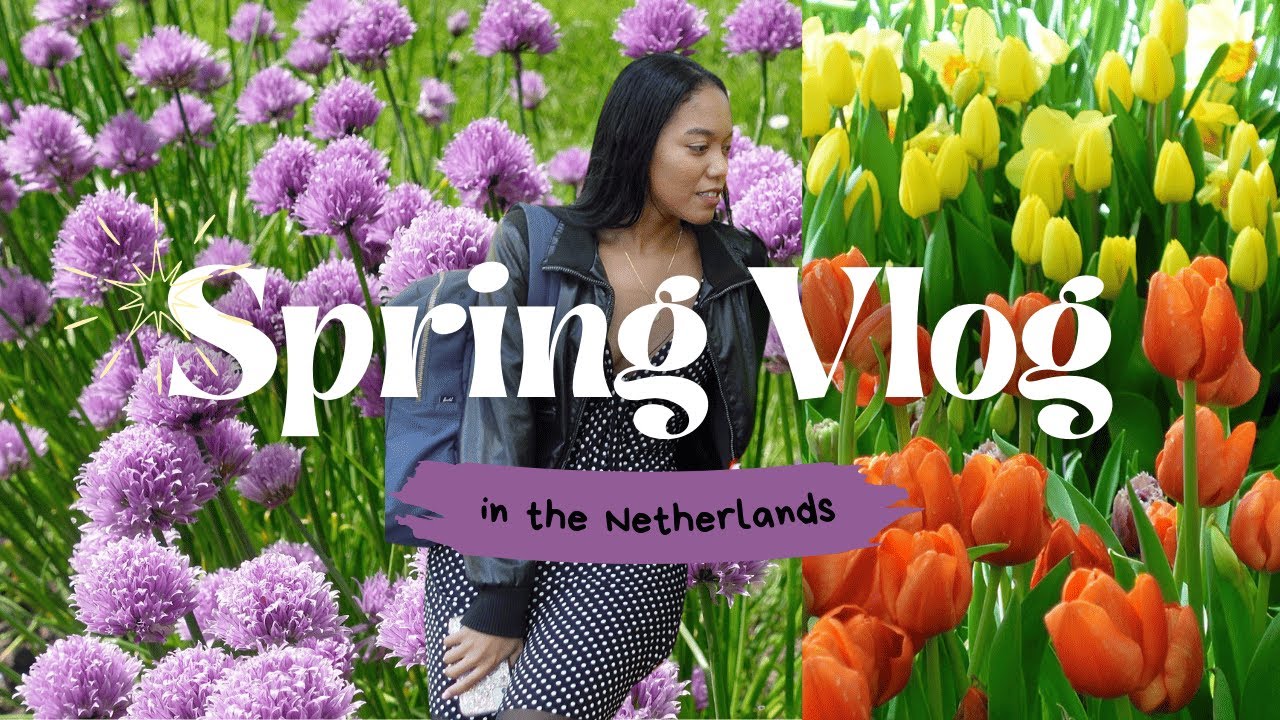 Trading California for the Netherlands in Spring 🌷