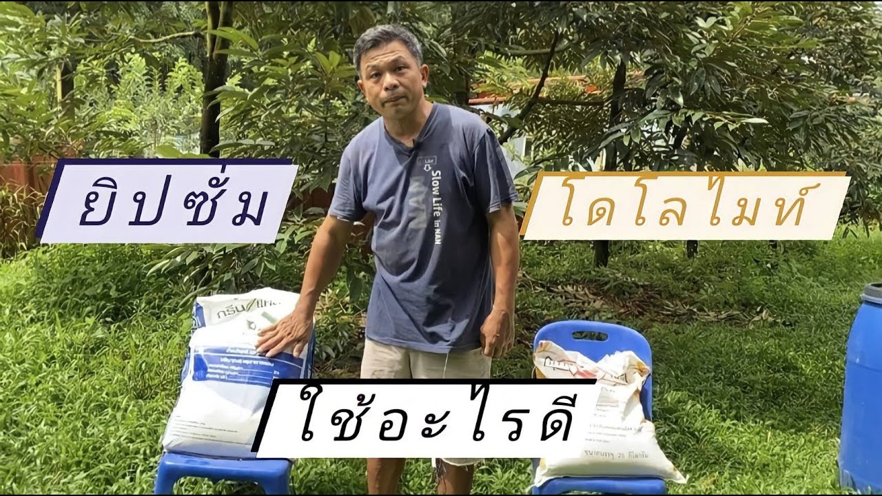 โดโลไมค์กับยิปซั่มต่างกันอย่างไร ใช้ตัวไหนดี#ดร สุมิตรา ภู่วโรดม