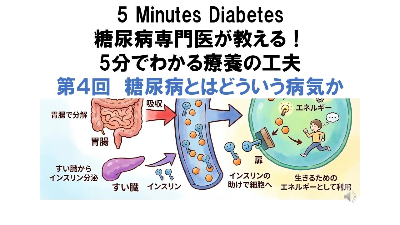 糖尿病専門医が教える！5分でわかる療養の工夫　第4回　糖尿病とはどういう病気か