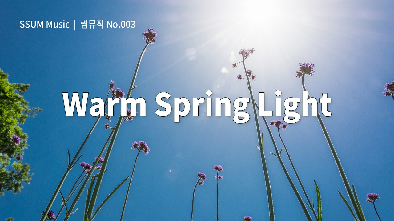 SSUM No.003 | Warm Spring Light | 따뜻한 봄빛