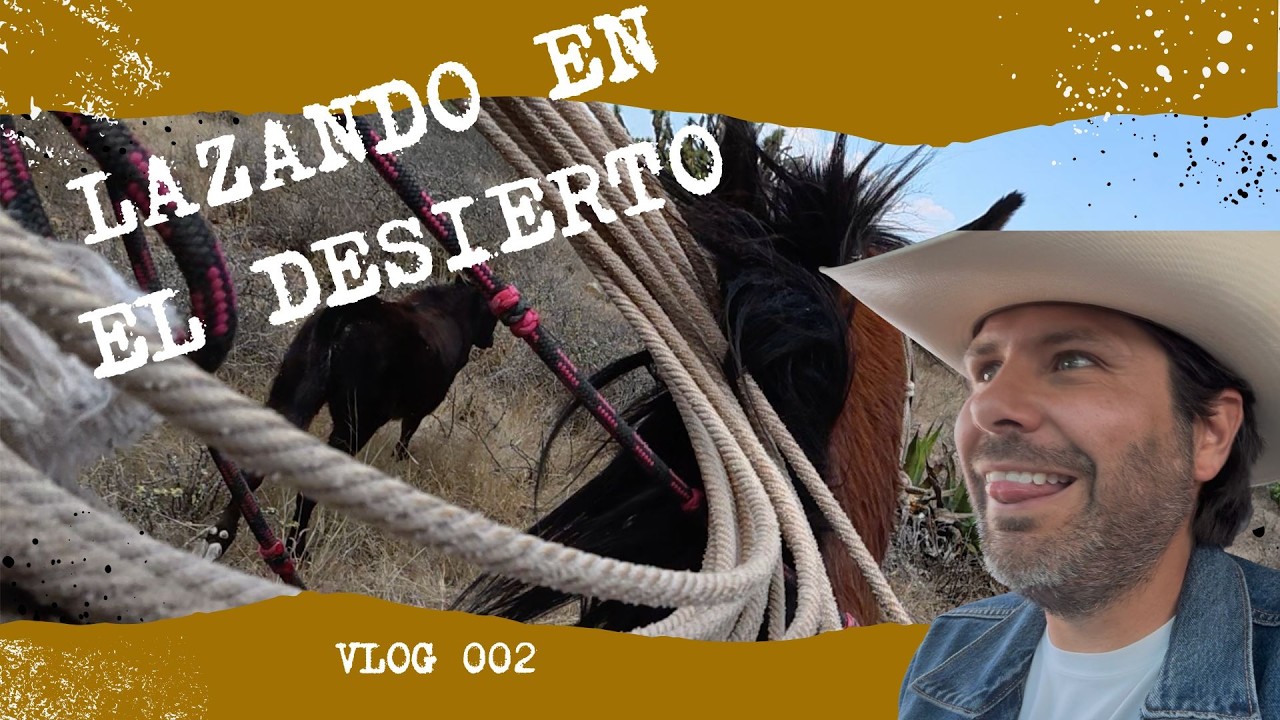 LAZANDO BECERROS - Asi destetamos en una ganadería