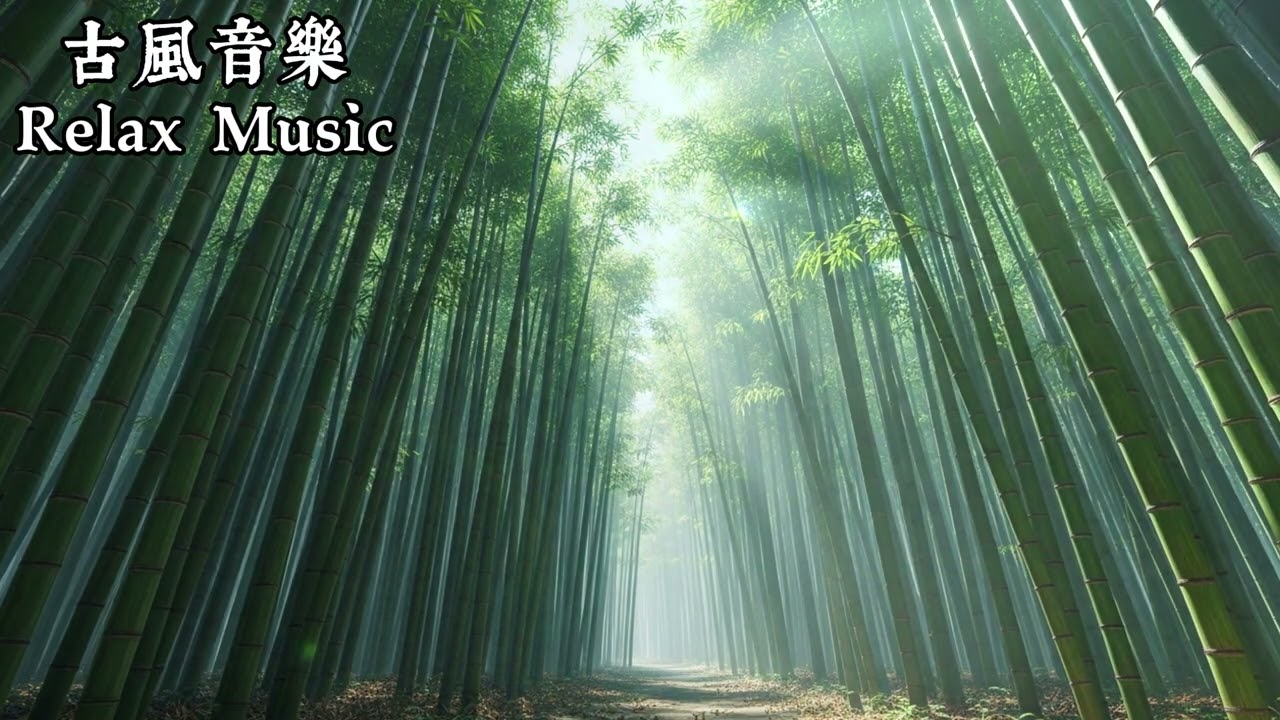 《竹影聽風》🌿 古風竹林音樂｜自然風聲 × 笛聲｜靜心・放鬆・專注