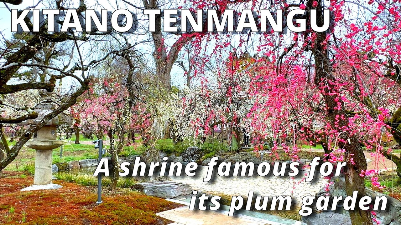 Kitano Tenmangu, a shrine famous for its plum garden