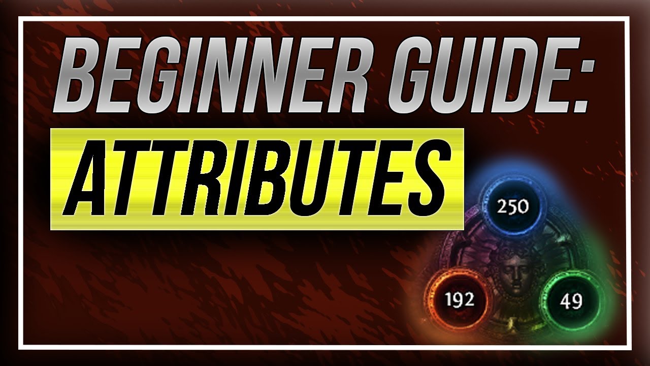 [BEGINNER GUIDE] Attributes [Path of Exile]
