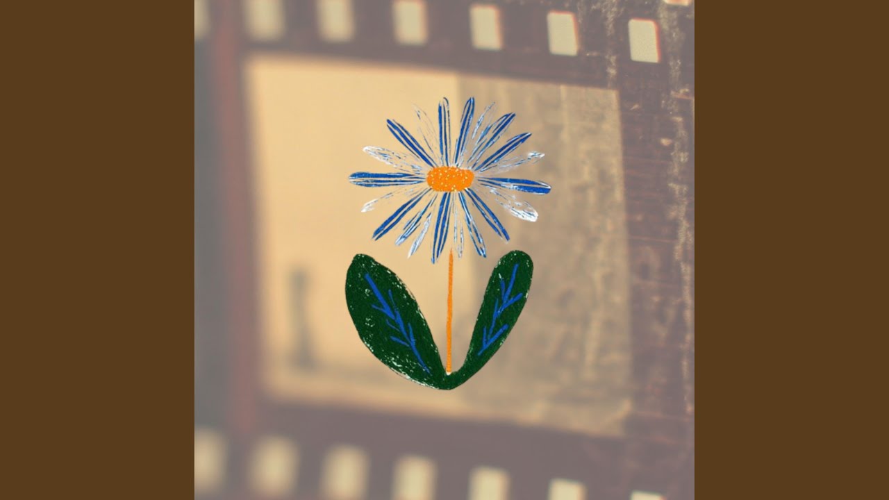 Cortometraje