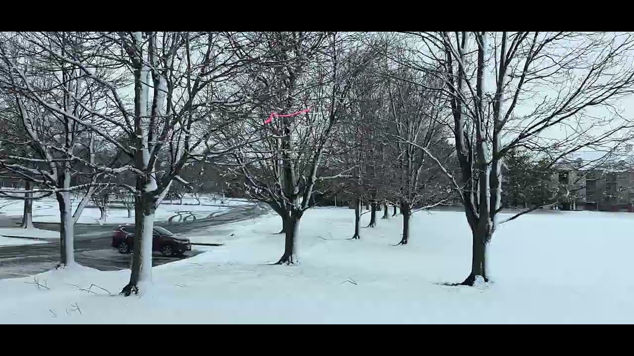 Snow‑filled beauty surrounds a Herndon local park(స్థానిక ఉద్యానవనం చుట్టూ మంచుతో నిండిన అందం)