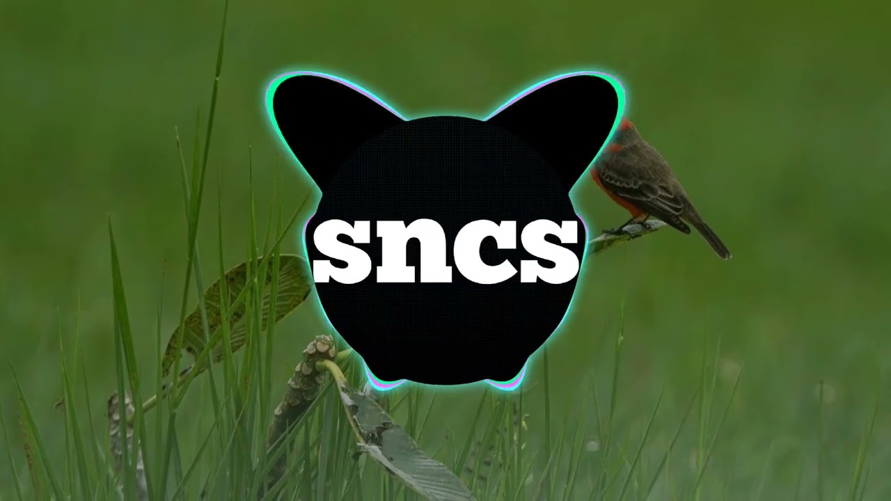 Eknow hush & Xaadbsgsh  Vaavb - (sncs song)- no copyright music 