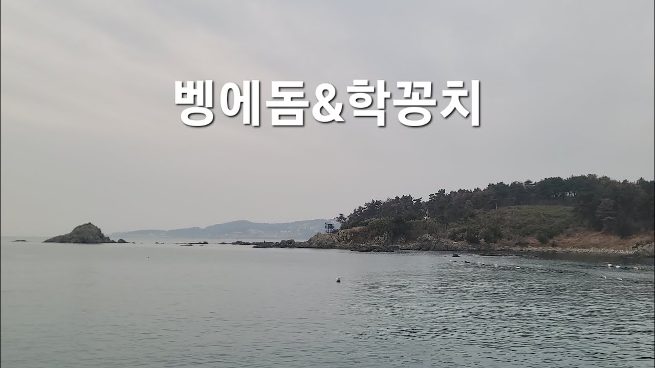 울산권 영등철👉벵에돔낚시👈학꽁치낚시도 겸 합니다 #벵에돔낚시 #학꽁치낚시 #fishing