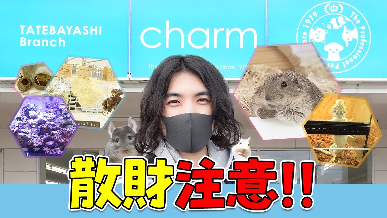 【Vlog】小動物飼いさんにもおすすめ！チャーム 館林店の品揃えがとにかく凄かった！